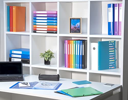 Semi-Rigid PP Display Book for A4 Documents - Red, 40 Pockets-CentralDepot247