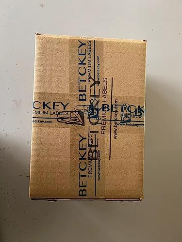 10 Rolls DK-22225 Labels with 2 Reusable Holders – 38mm x 30.48m