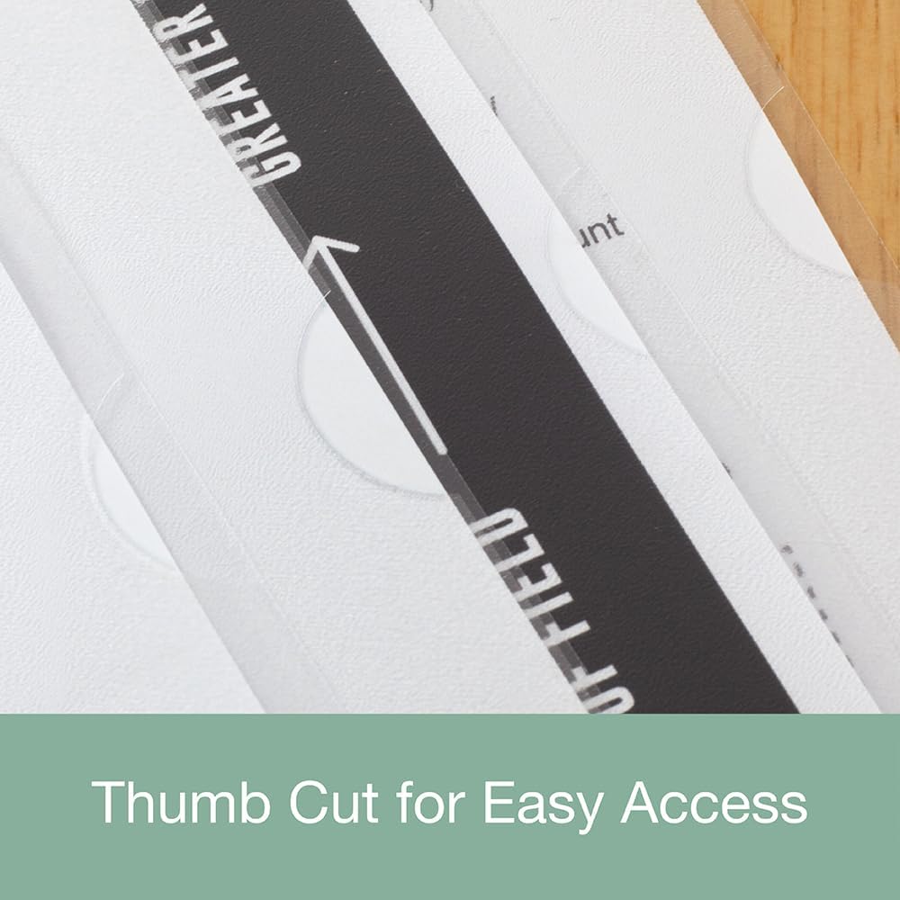 SUMMIT A4 Plastic Wallets - Strong Cut Flush Folders, 100 Pack