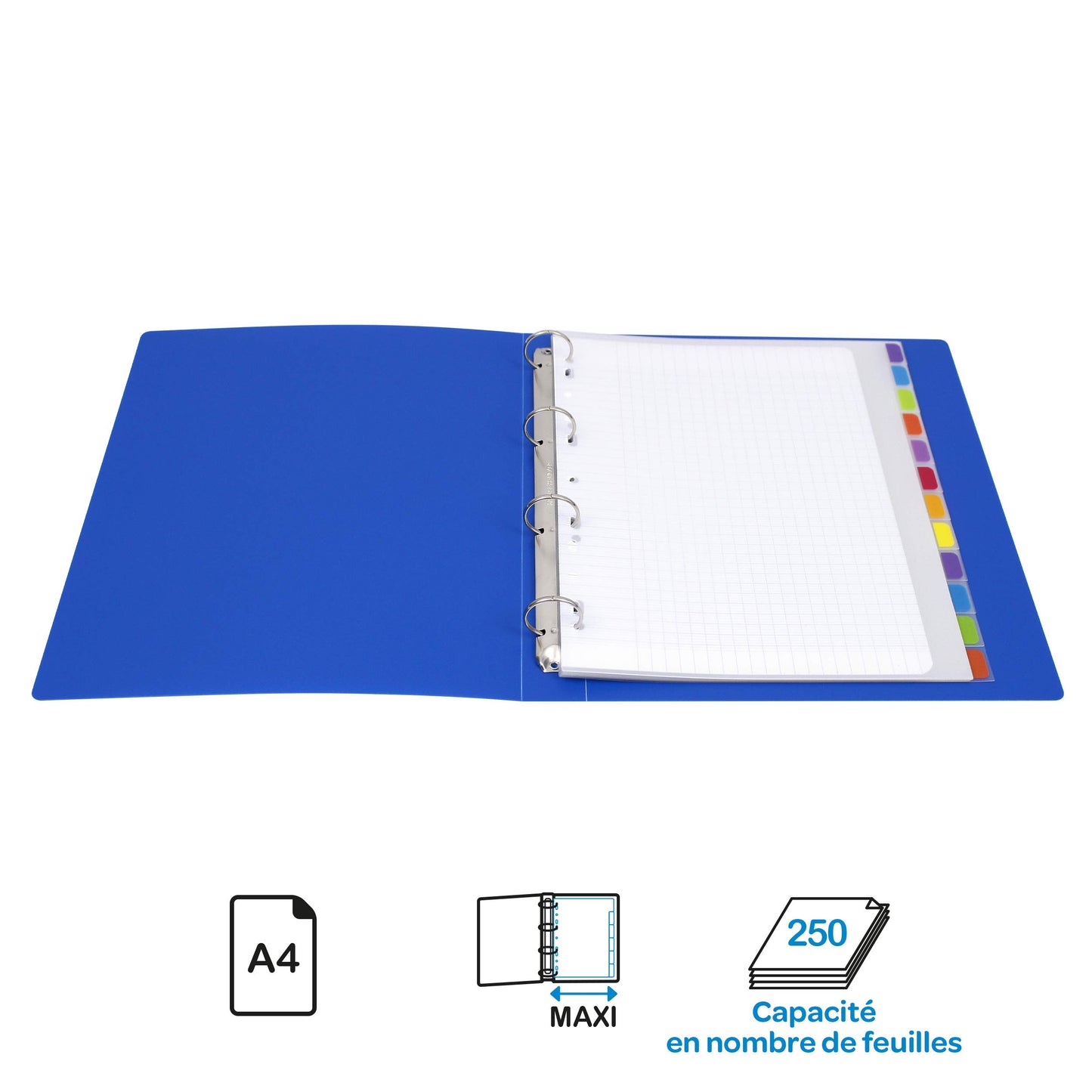 Viquel A4 Maxi Flexible Folder with Label on Spine - Blue