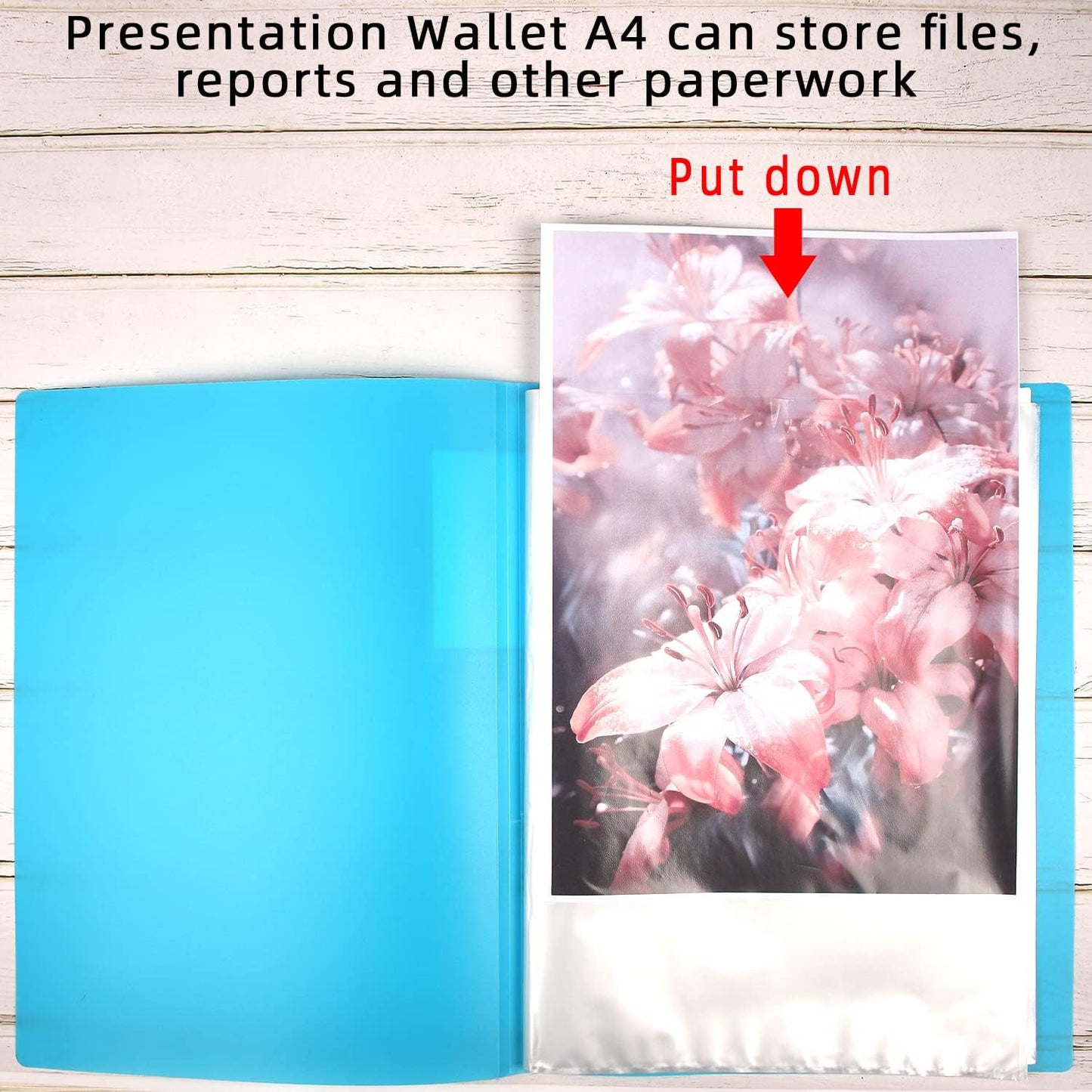Presentation Display Book A4 - 30 Pockets Project Folder - 6 Colours