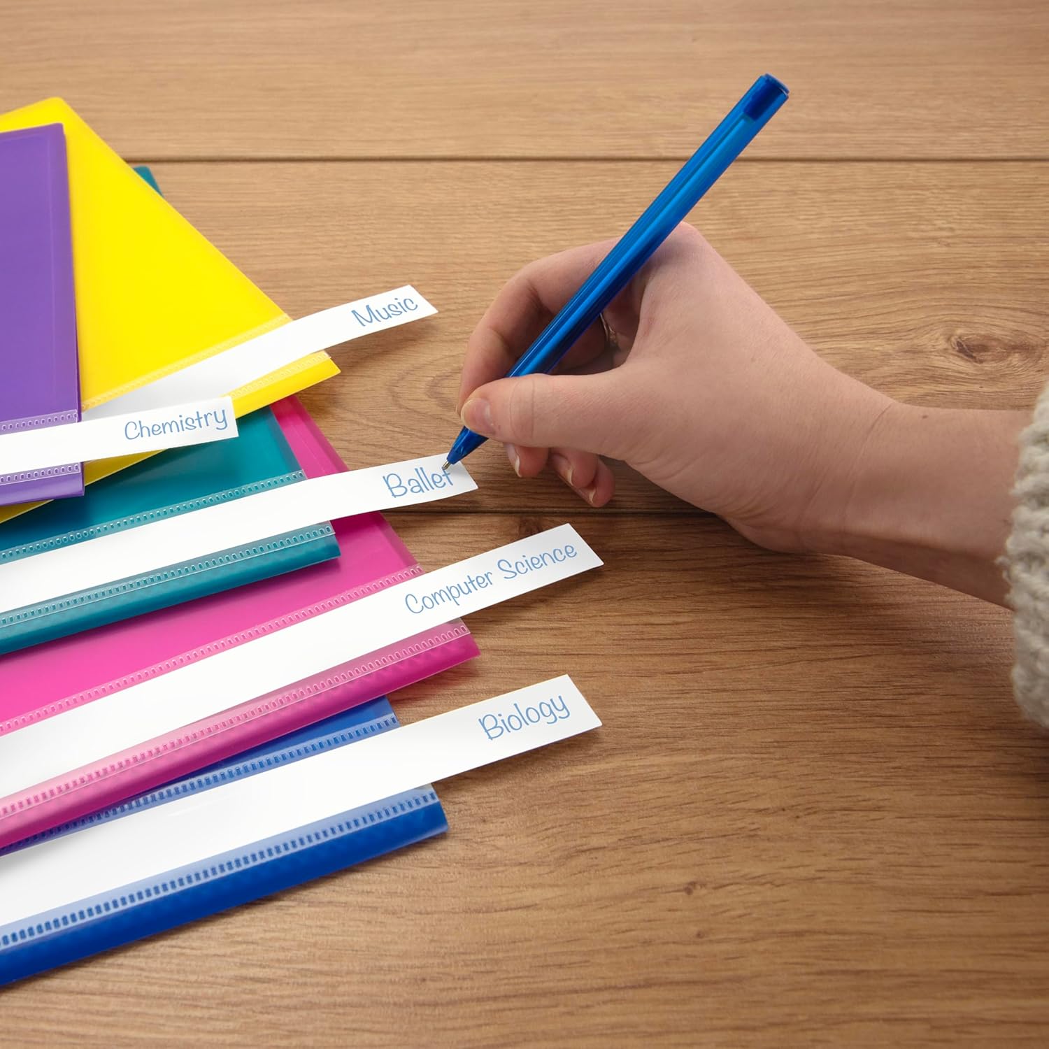 Rapesco 0919 A4 Project Presentation Display Book, 20 Pockets, Pack of 10